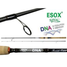 ESOX DNA 228