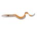 SAVAGE GEAR 3D REAL EEL 15cm ALBINO