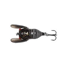 3D Cicada Black