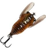 3D Cicada Brown