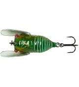 3D Cicada Green